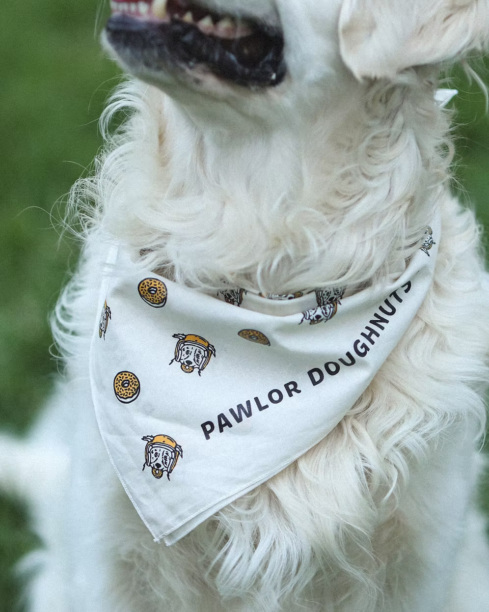 Pawlor Dog Bandana